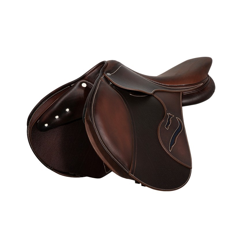 Evolution jumping saddle