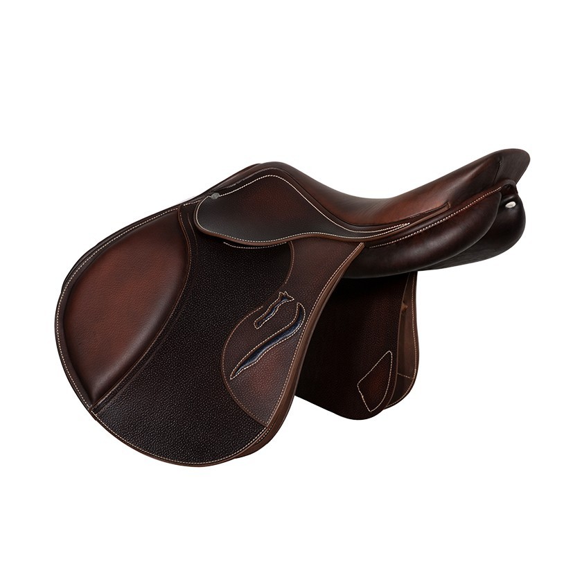 Evolution jumping saddle