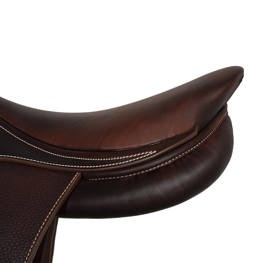 Evolution jumping saddle