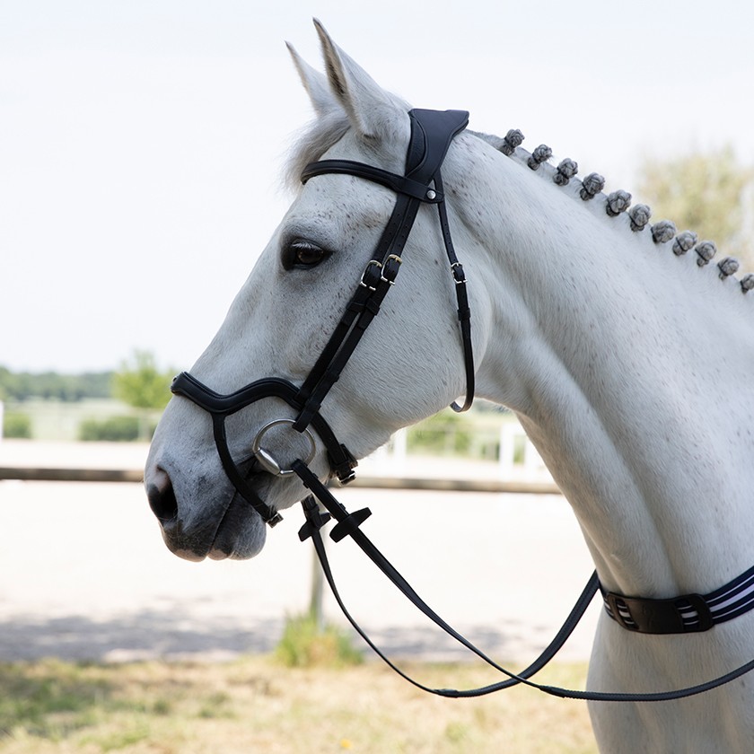 Precision Y noseband anatomic bridle