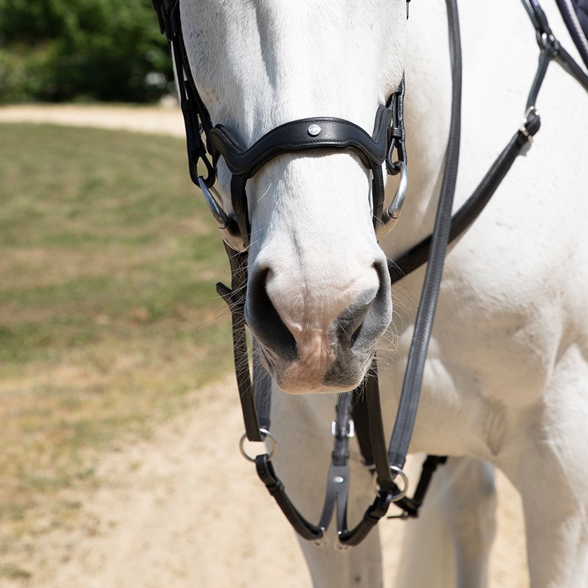 Precision Y noseband anatomic bridle