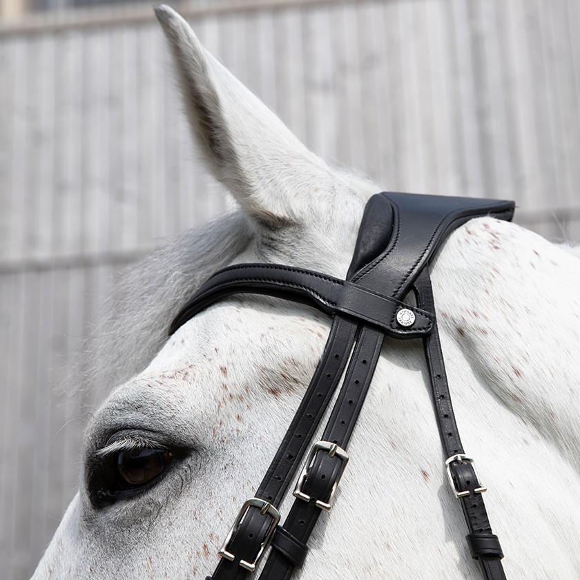 Precision anatomic comfort bridle