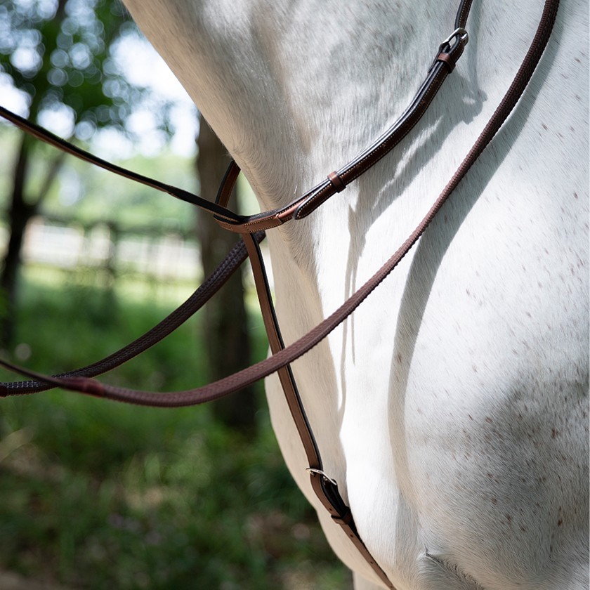 Standing martingale