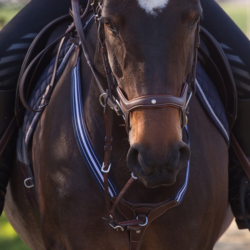 Grained elastic breastplate