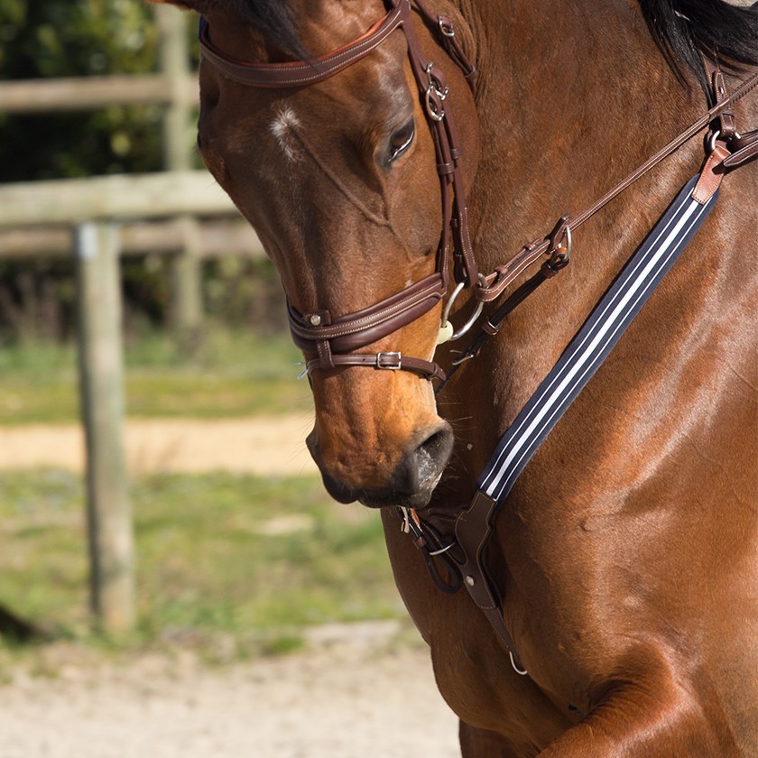 Collier de chasse élastique grainé