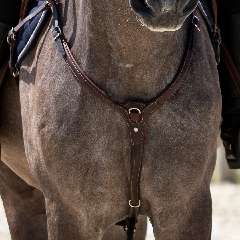 Collier de chasse cuir pour mono quartier Précision