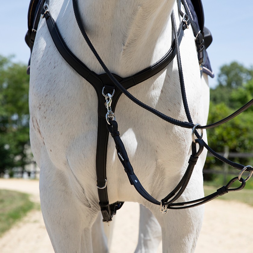 Collier de chasse cuir pour mono quartier Précision