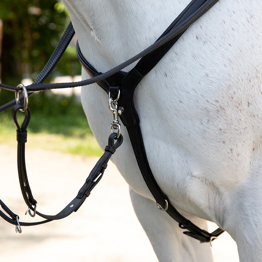 Collier de chasse cuir pour mono quartier Précision