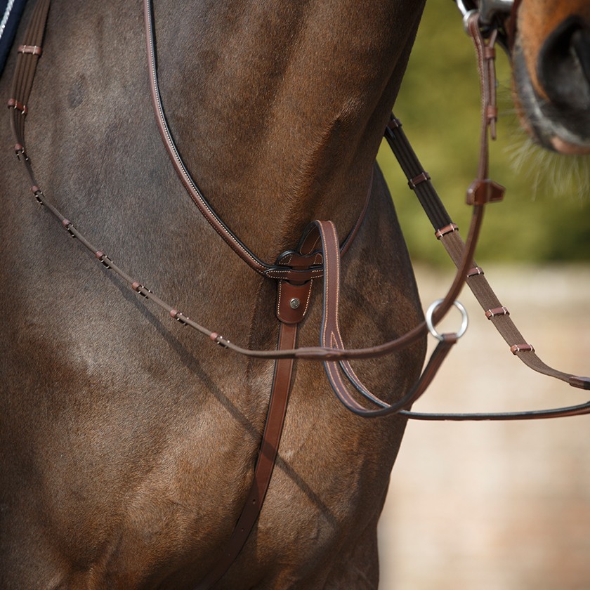 Martingale à anneaux