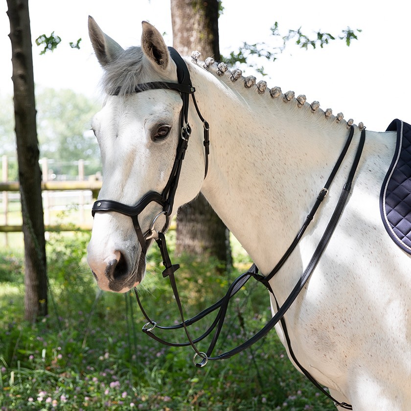 Precision Y noseband anatomic bridle