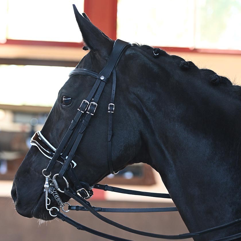 Origin dressage anatomic double bridle