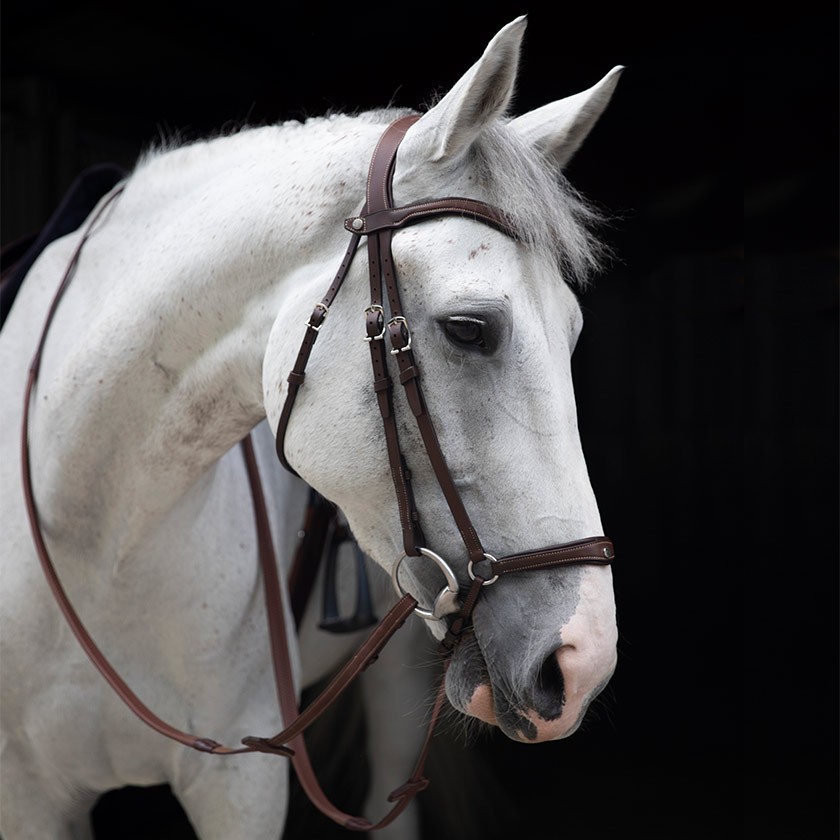 Origin anatomic drop noseband bridle