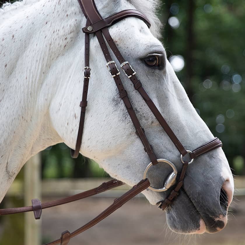 Origin anatomic drop noseband bridle