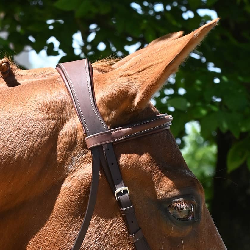 Hunter Origin anatomic bridle