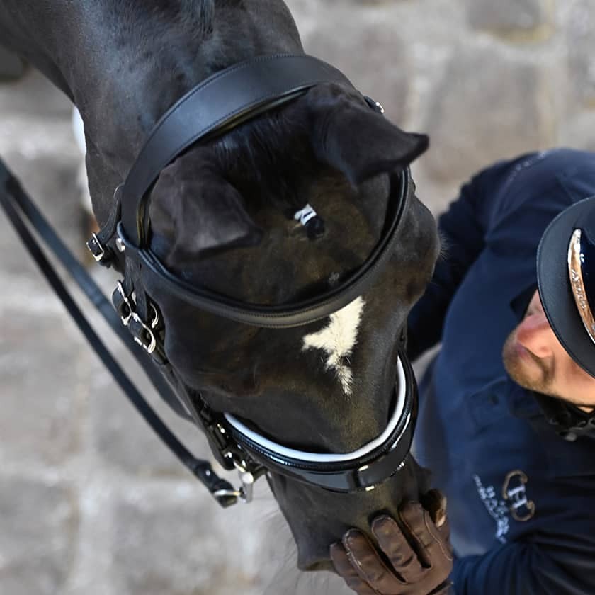 Origin dressage anatomic double bridle