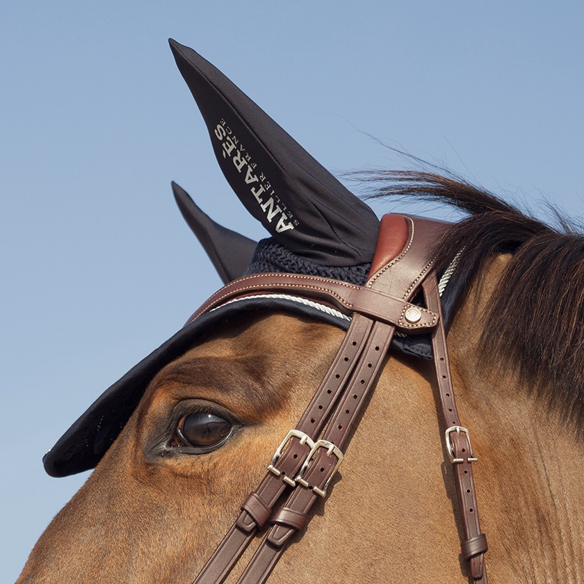 Bonnet écusson Antarès