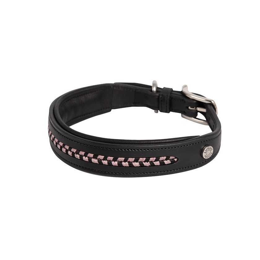 Dog collar