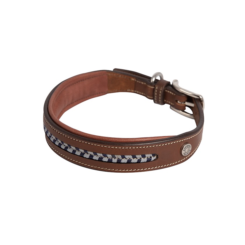 Dog collar