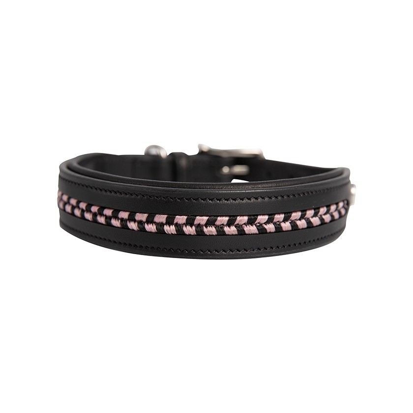 Dog collar