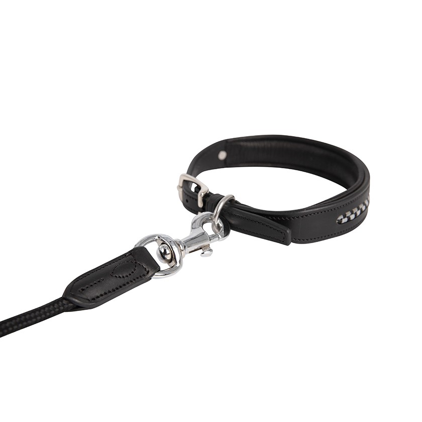 Dog leash