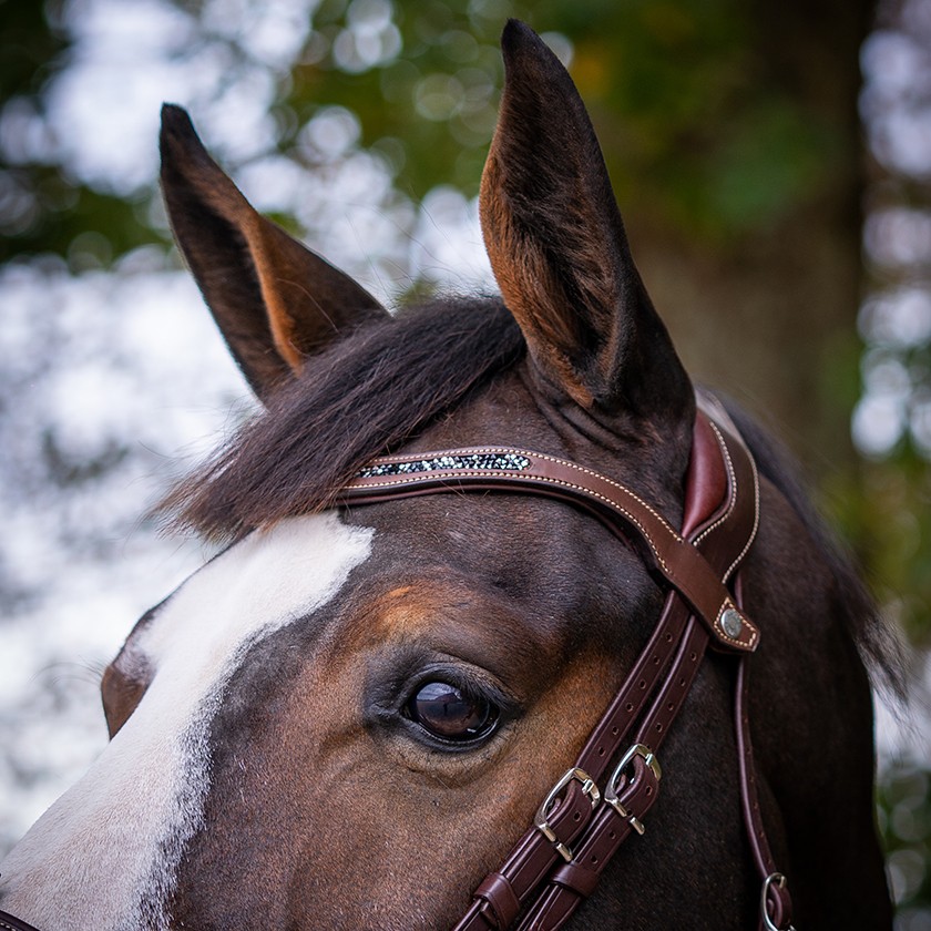 Precision Crystal browband